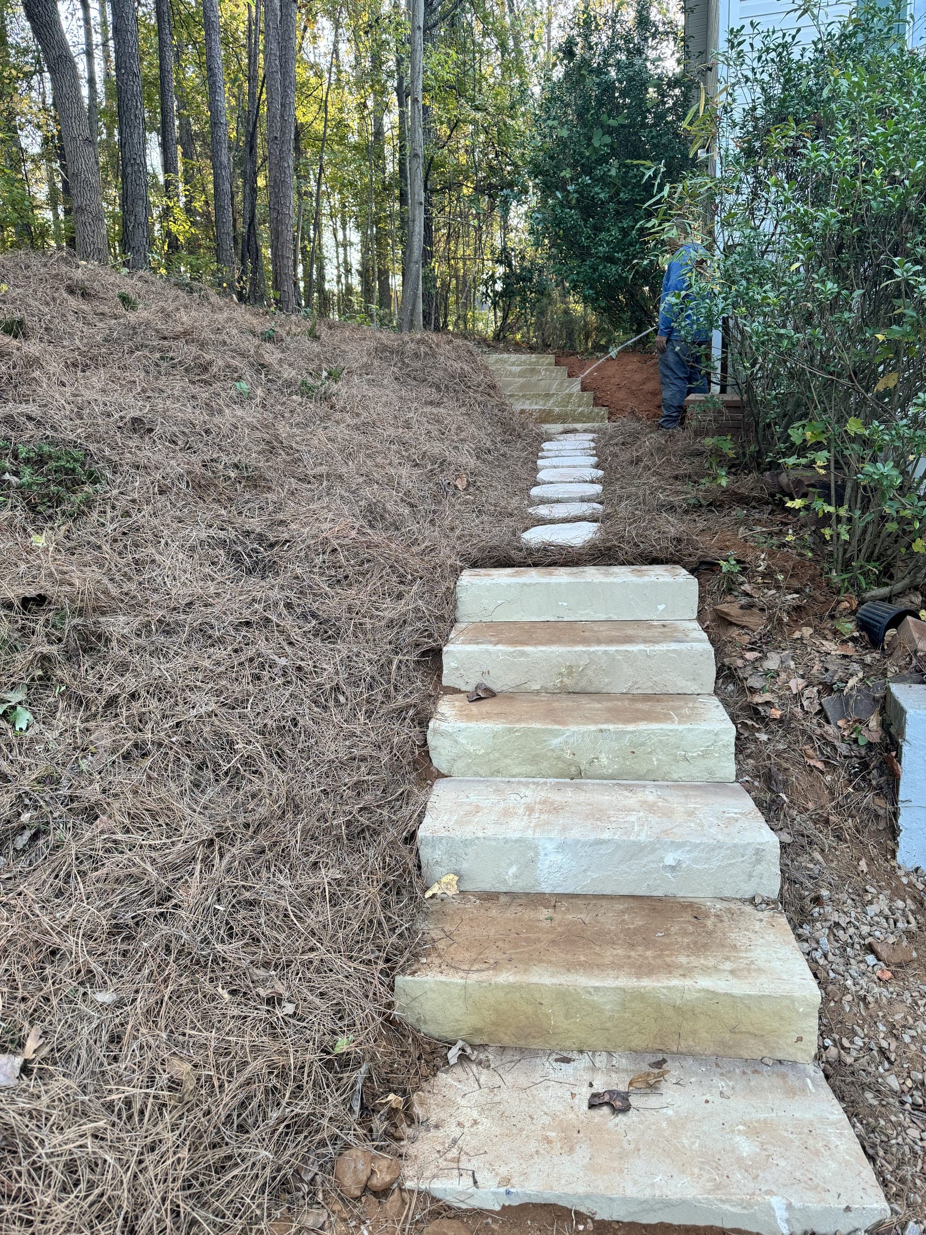 Flagstone steps leading up a wooded slope