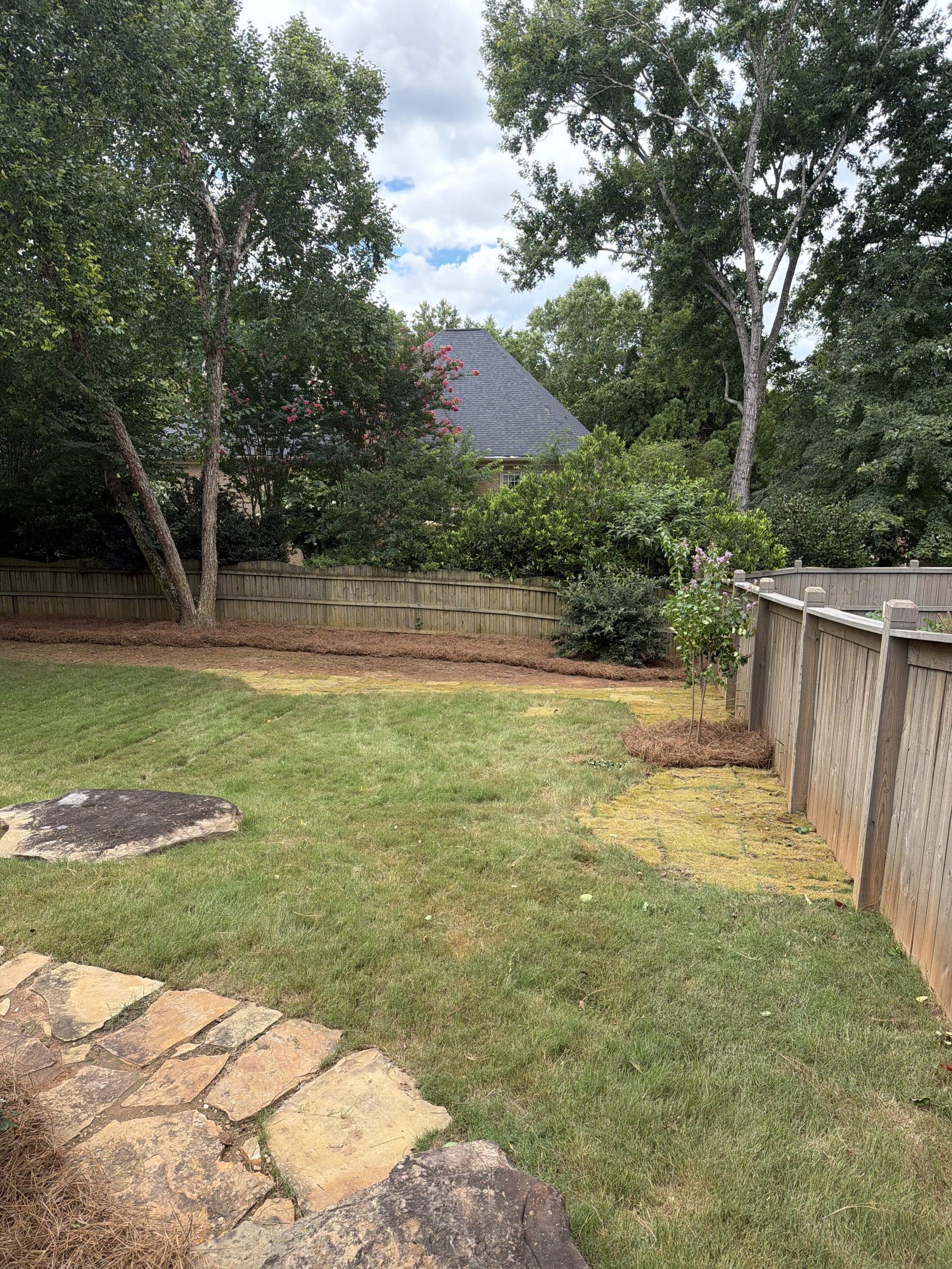 Backyard with new sod and a flagstone edge